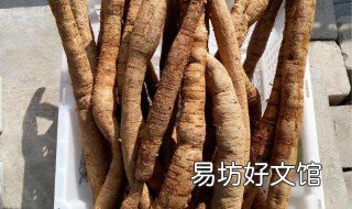 牛大力的种植技术 牛大力种植技术和修剪