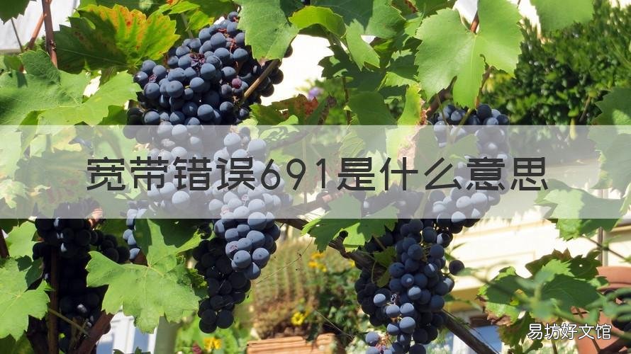 宽带错误691是什么意思 宽带错误691是什么意思呢