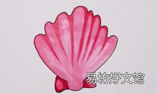 贝壳怎么画 贝壳怎么画一步一步