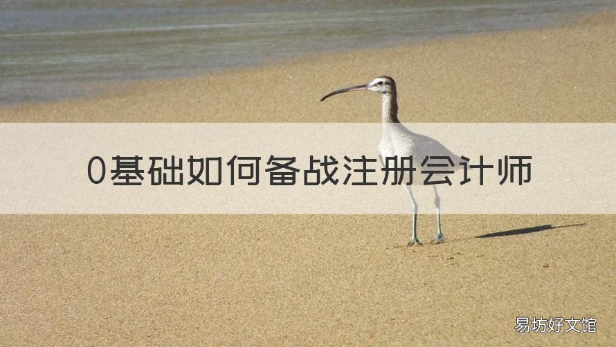 0基础如何备战注册会计师 零基础备考注册会计师