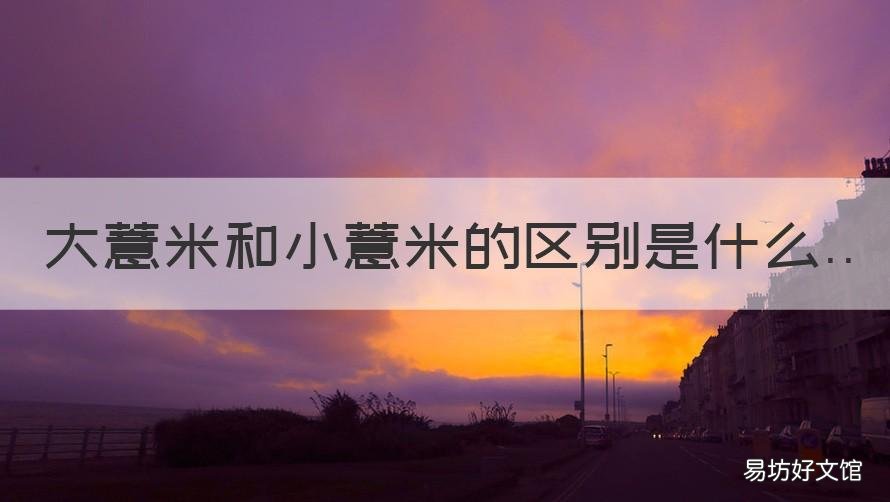 大薏米和小薏米的区别是什么 大薏米跟小薏米有什么区别