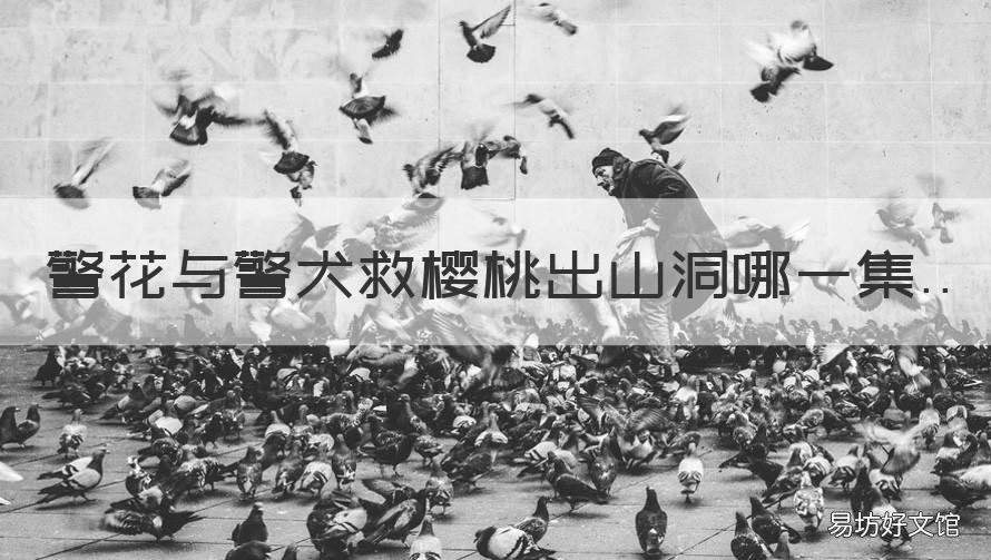 警花与警犬救樱桃出山洞哪一集 警花与警犬山洞救樱桃是第几集