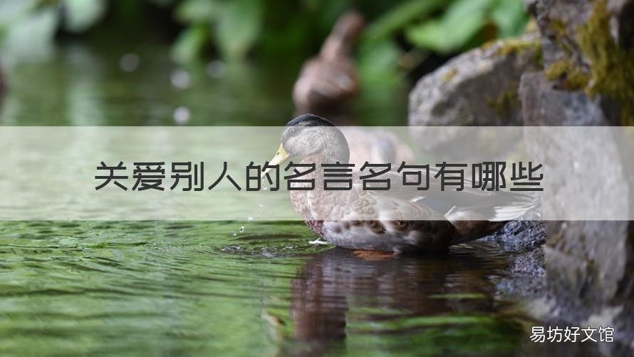 关爱别人的名言名句有哪些 有关关爱别人的名言