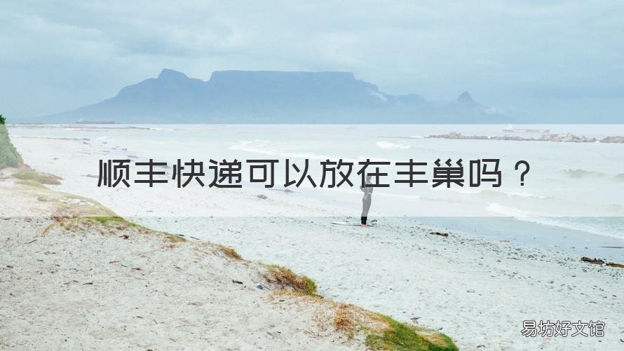 顺丰快递可以放在丰巢吗 顺丰快递能放在丰巢吗