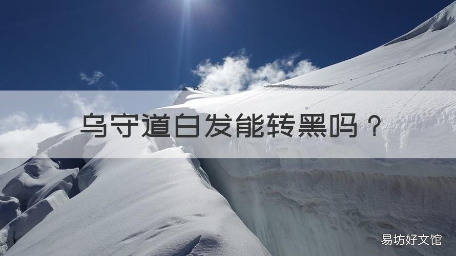 乌守道白发能转黑吗 乌守道真的可以治白发吗