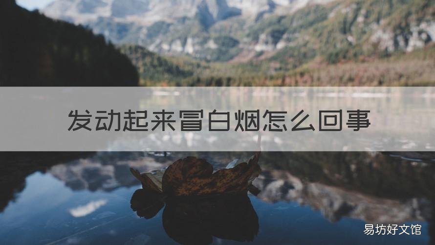 发动起来冒白烟怎么回事 车发动起来冒白烟