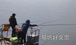 香油钓鱼用法 香油钓鱼用法和用量