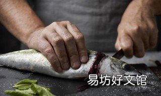 鲅鱼的禁忌 鲅鱼的禁忌食物