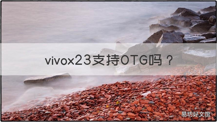 vivox23支持OTG吗