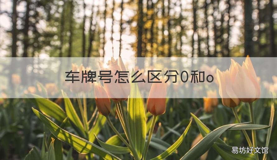 车牌号怎么区分0和o 车牌号0和0怎么区分