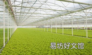 大棚放风口最新方法 大棚放风口最新方法图解