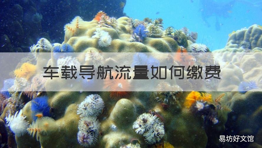 车载导航流量如何缴费 汽车上导航需要购买流量怎么弄