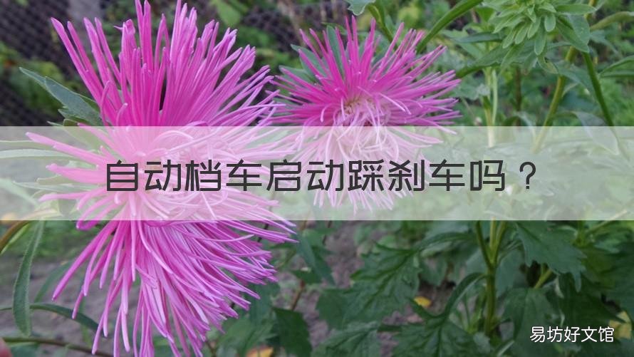 自动档车启动踩刹车吗 自动挡车踩刹车启动吗