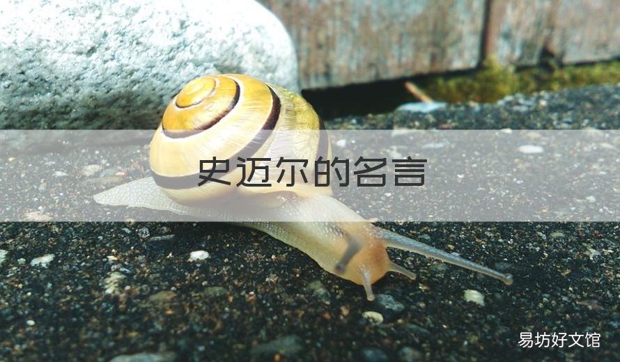 史迈尔的名言 威尔史密斯的名言