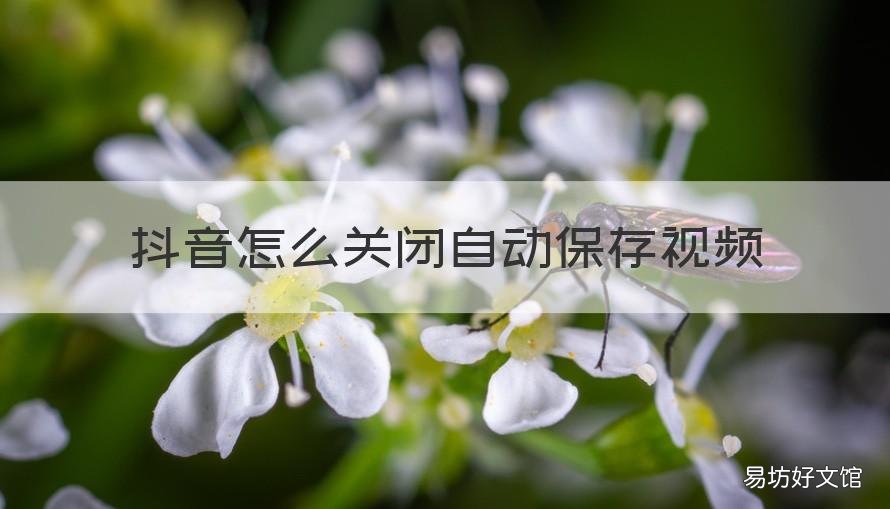 抖音怎么关闭自动保存视频 抖音怎样关闭保存视频