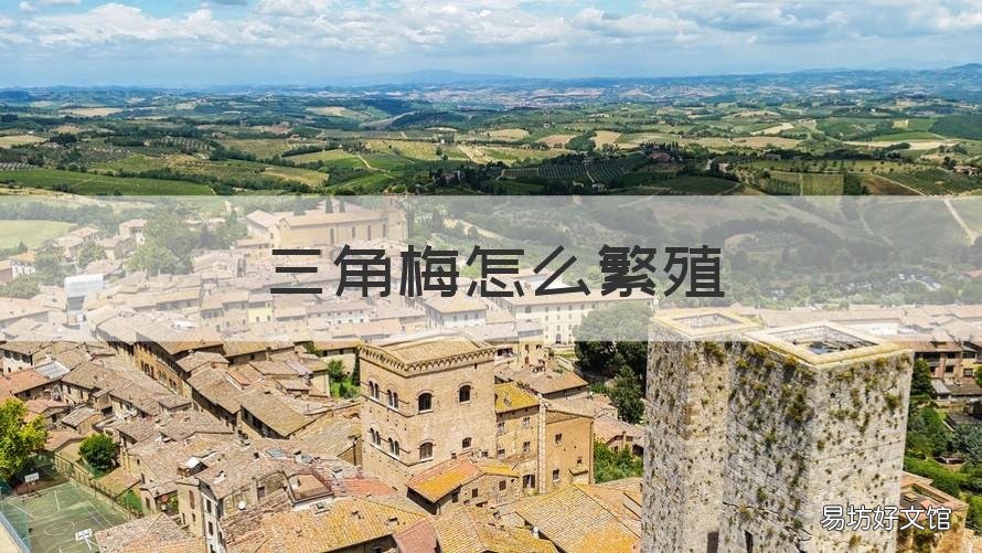 三角梅怎么繁殖 三角梅怎么繁殖成活率高
