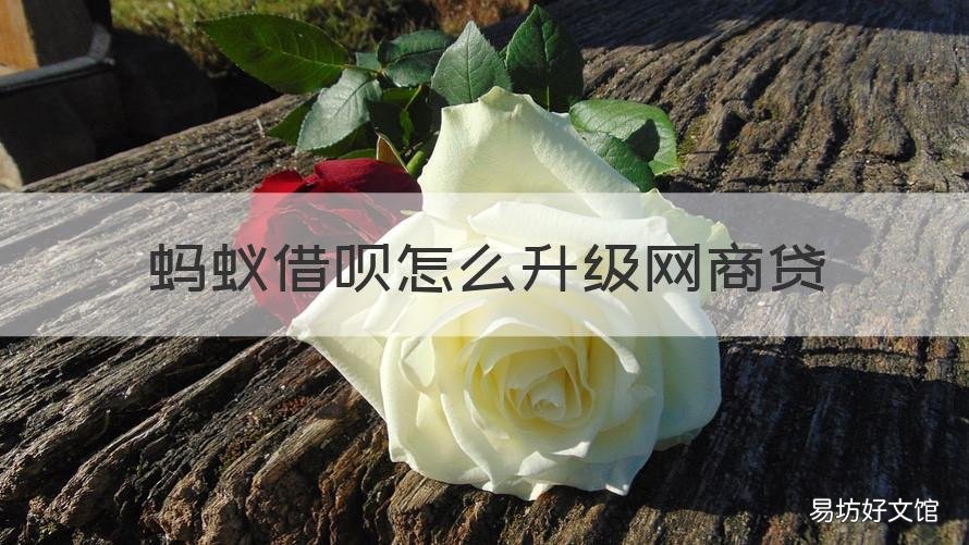 蚂蚁借呗怎么升级网商贷 蚂蚁借呗怎么升级网商贷额度