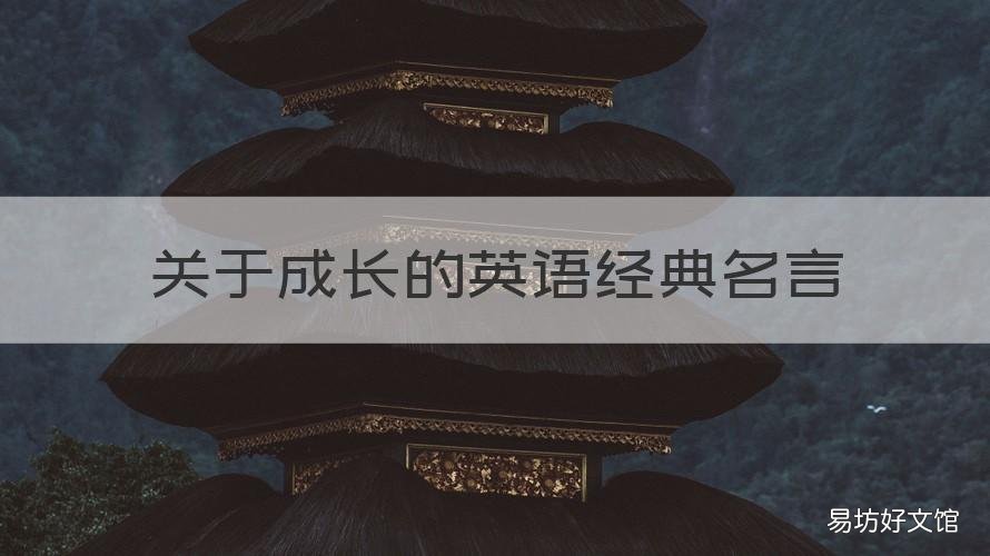 关于成长的英语经典名言 关于成长的名言外国