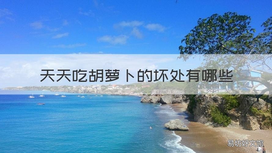 天天吃胡萝卜的坏处有哪些