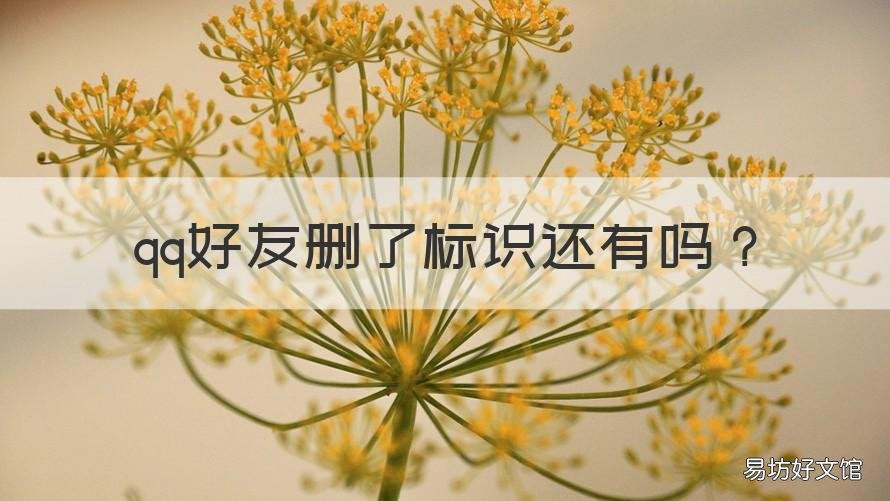 qq好友删了标识还有吗 QQ好友的互动标识在好友删除后还会有吗