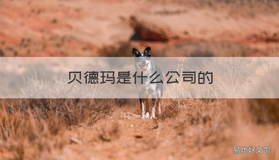 贝德玛是什么公司的 贝德玛是哪个公司的