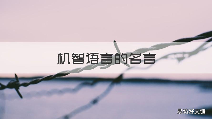 机智语言的名言 形容一个人机智的名言
