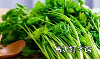 香菜根种植方法 香菜根 种植