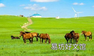 蒙古国人均工资 蒙古国人均可支配收入