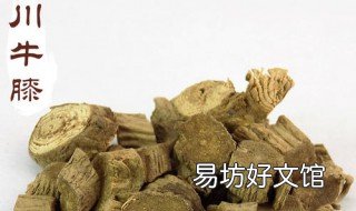 怀牛膝与川牛膝的区别 川牛膝与怀牛膝有什么区别