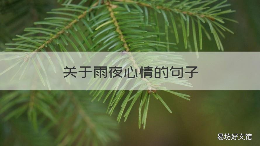 关于雨夜心情的句子 关于雨夜心情的句子说说