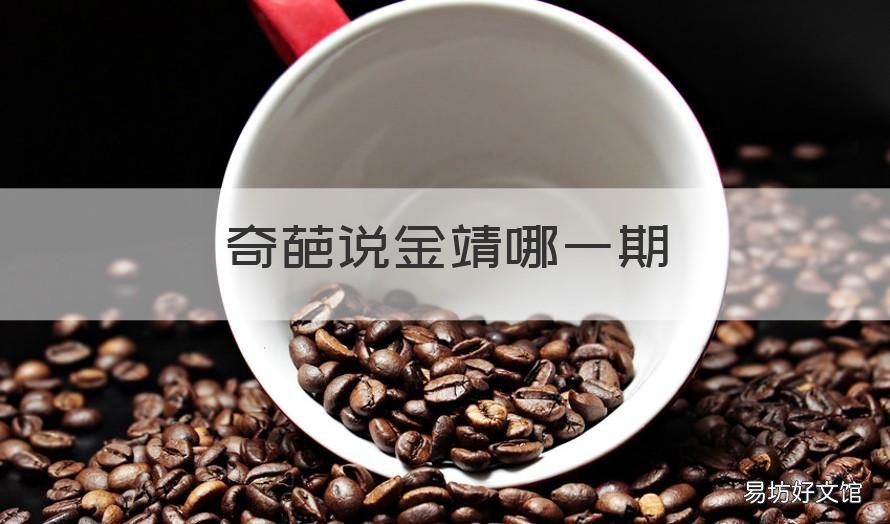 奇葩说金靖哪一期 奇葩说金靖是第几期