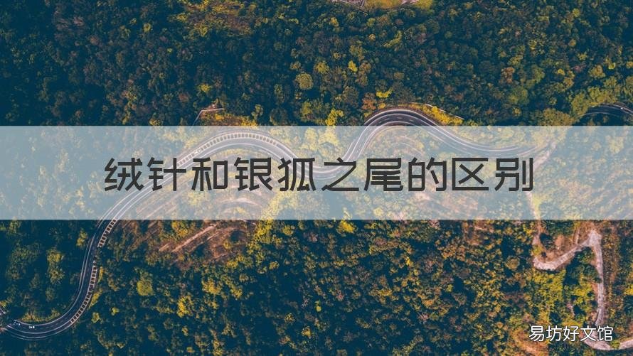 绒针和银狐之尾的区别 银狐绒和羊胎绒区别