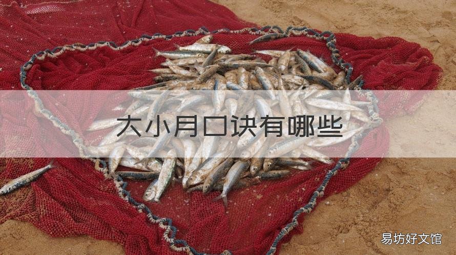 大小月口诀有哪些 分大月小月的口诀