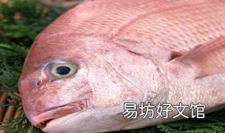 岸钓鲈鱼技巧与方法 岸钓鲈鱼技巧与方法视频