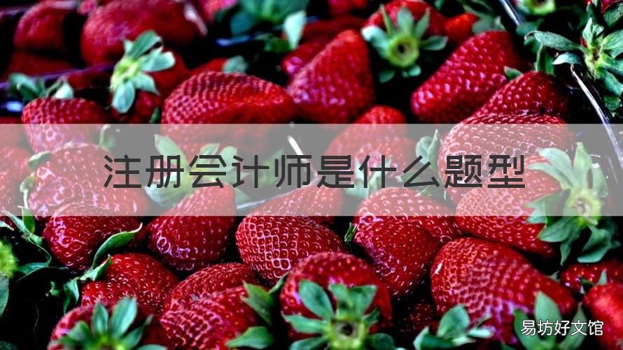 注册会计师是什么题型 注册会计师的题型
