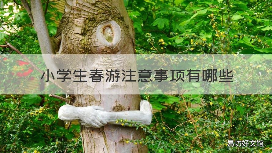 小学生春游注意事项有哪些 小学生春游注意事项有哪些三年级