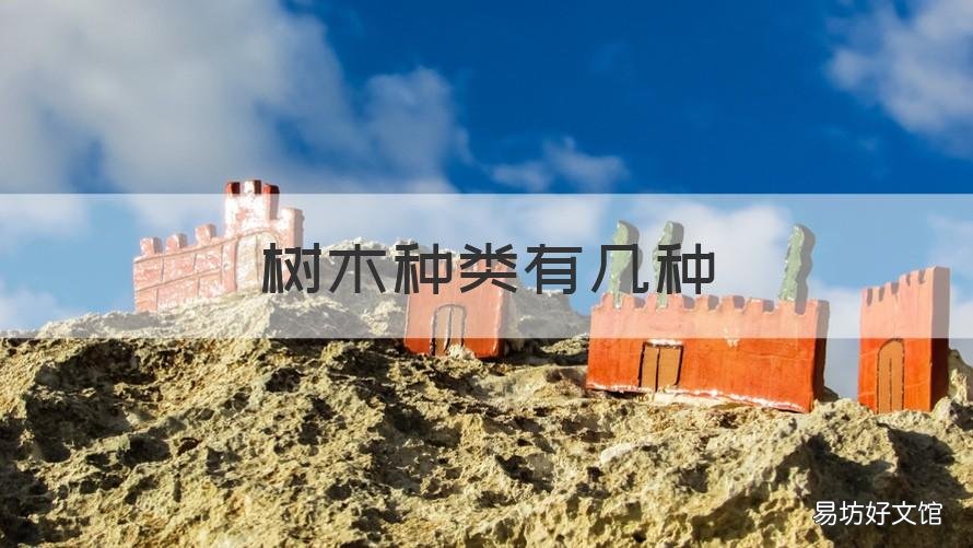 树木种类有几种 树木种类有哪些