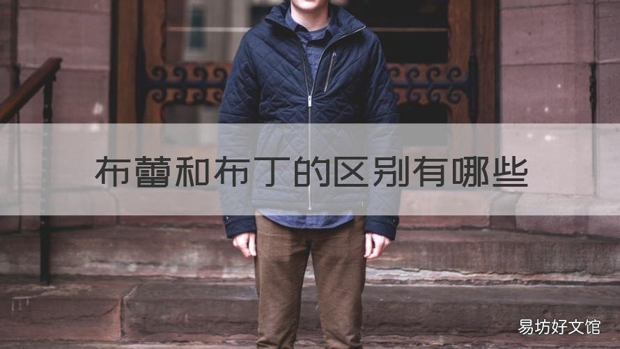 布蕾和布丁的区别有哪些 布丁跟布雷的区别