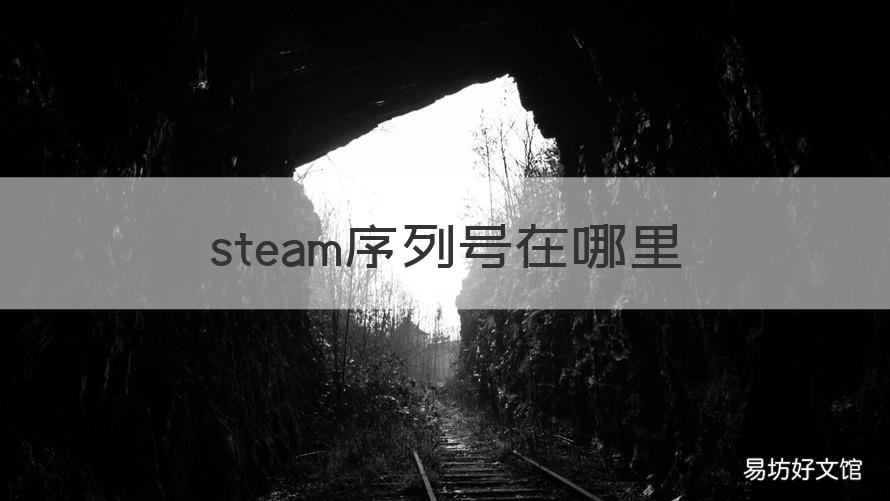steam序列号在哪里 新版steam序列号在哪