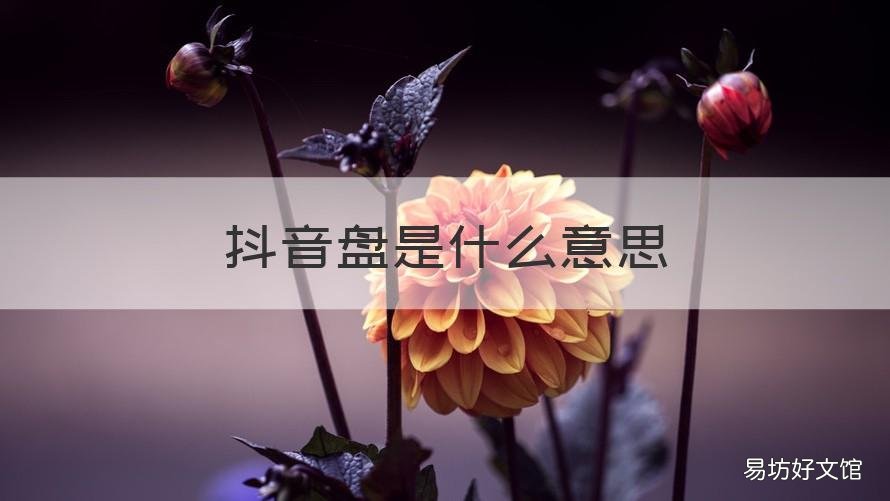 抖音盘是什么意思 抖音询盘是什么意思