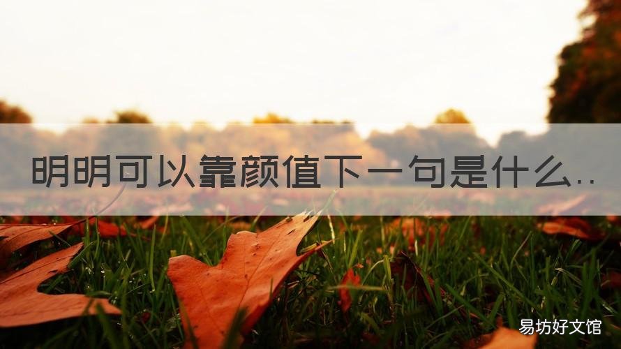 明明可以靠颜值下一句是什么 本来可以靠颜值
