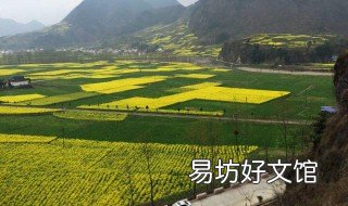 诸葛亮子孙现在都在哪 诸葛亮从哪里来