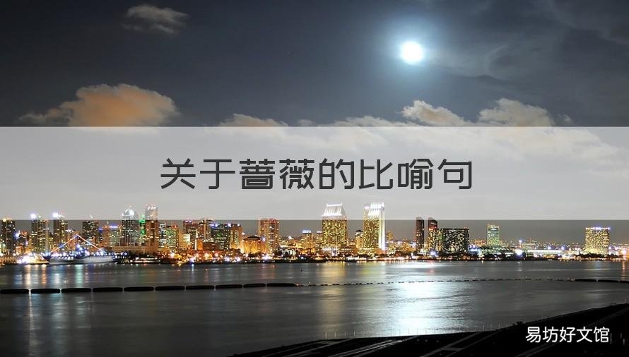 关于蔷薇的比喻句 关于蔷薇的比喻句子