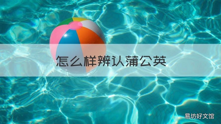 怎么样辨认蒲公英 如何辨识蒲公英