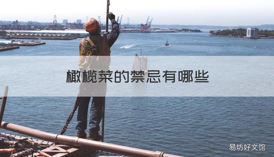 橄榄菜的禁忌有哪些 橄榄菜常吃好吗
