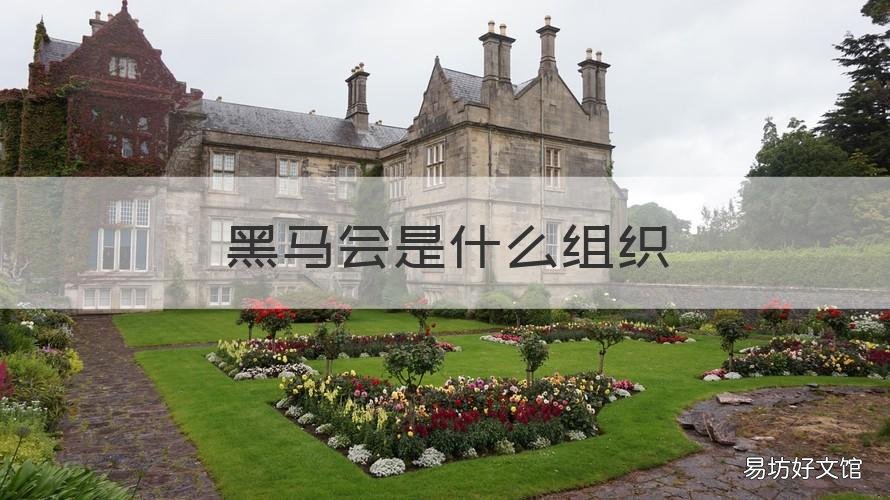 黑马会是什么组织 黑马团队是干什么的
