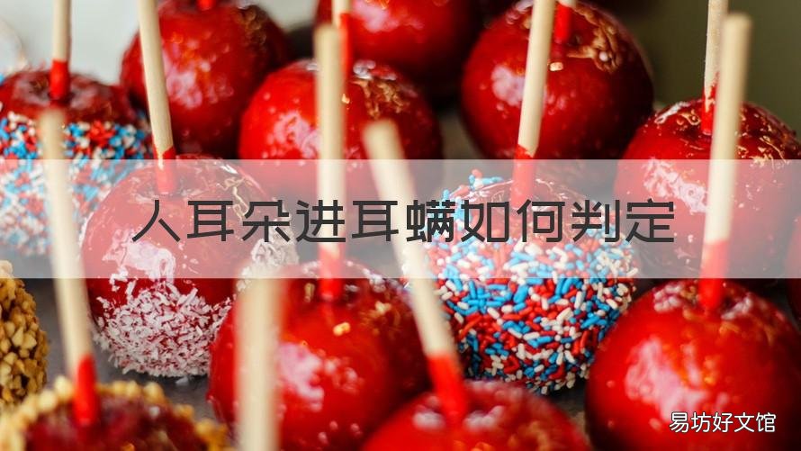 人耳朵进耳螨如何判定 人感染耳螨的症状