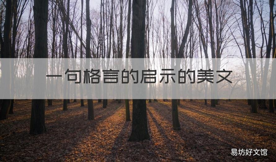 一句格言的启示的美文 《一句名言的启示》作文
