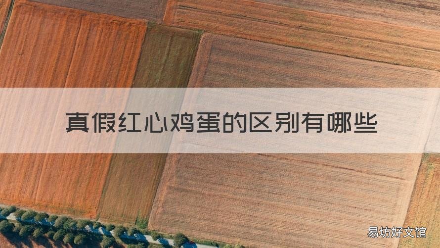 真假红心鸡蛋的区别有哪些 什么是红心鸡蛋