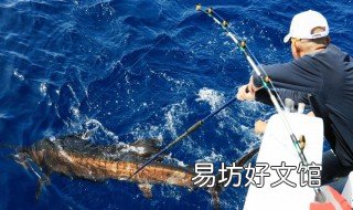 海钓石斑鱼技巧 海钓石斑鱼钓法
